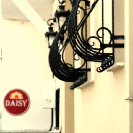 Daisy Panorama 2*